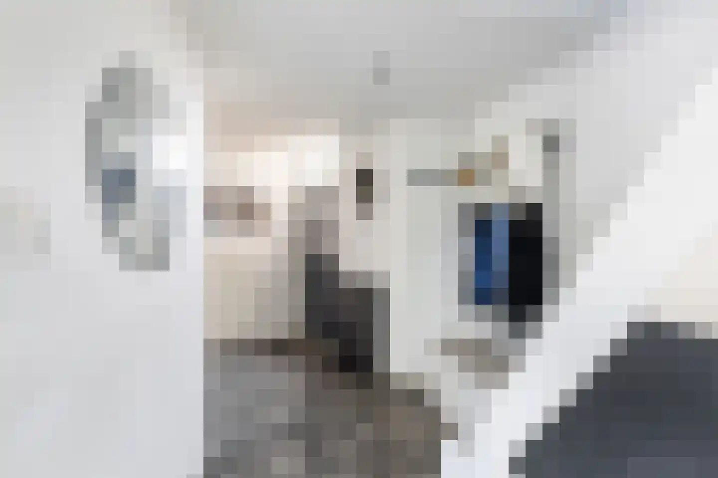 Dahliastraat 76 Poeldijk thumbnail 5