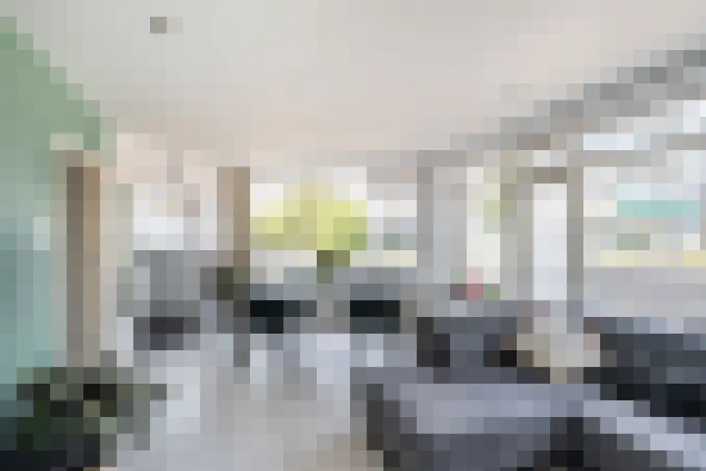 Dahliastraat 76 Poeldijk thumbnail 8