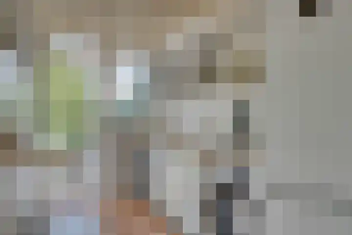 Dahliastraat 76 Zwijndrecht thumbnail 14