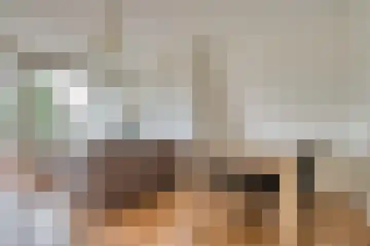 Dahliastraat 76 Zwijndrecht thumbnail 5