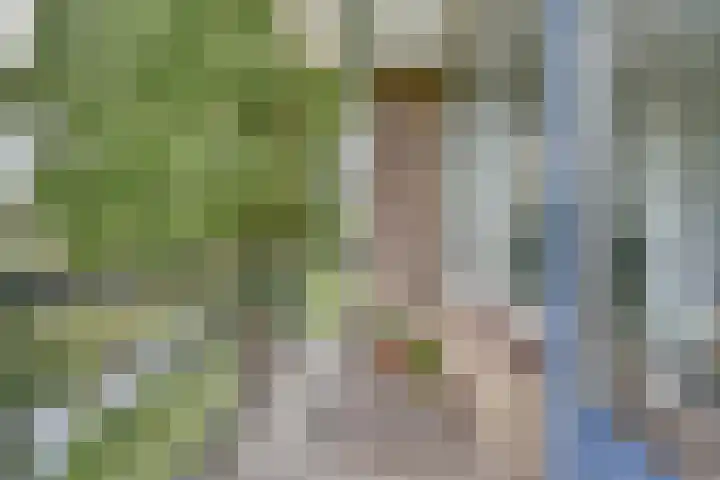Dahliastraat 76 Zwijndrecht thumbnail 6