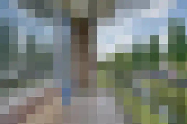 Dahliastraat 76 Zwijndrecht thumbnail 7