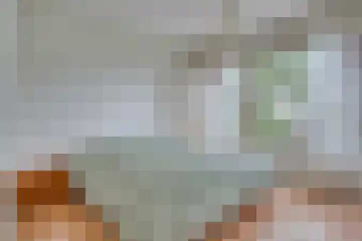 Dahliastraat 76 Zwijndrecht thumbnail 8