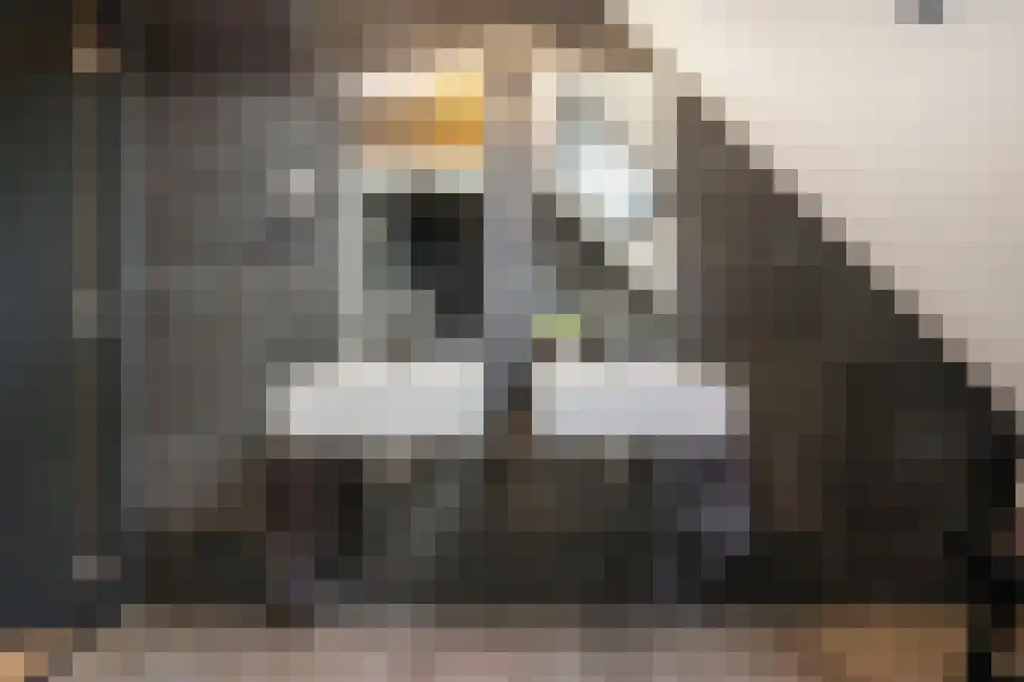Dahliastraat 78 Made thumbnail 28