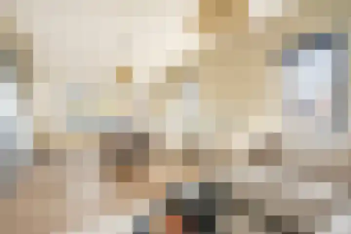 Dahliastraat 78 Made thumbnail 31