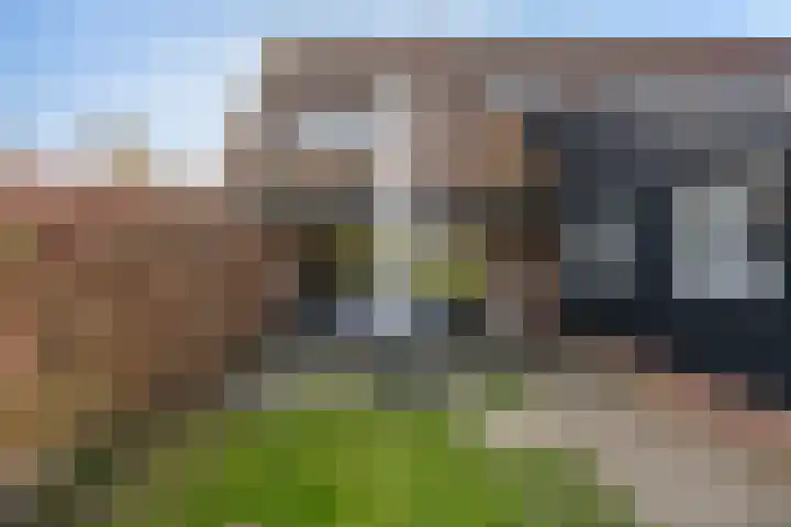 Dahliastraat 78 Made thumbnail 33