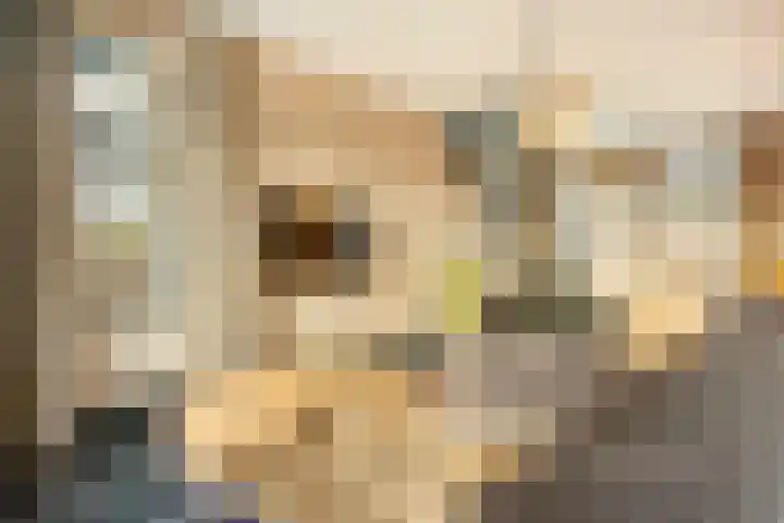 Dahliastraat 78 Made thumbnail 36