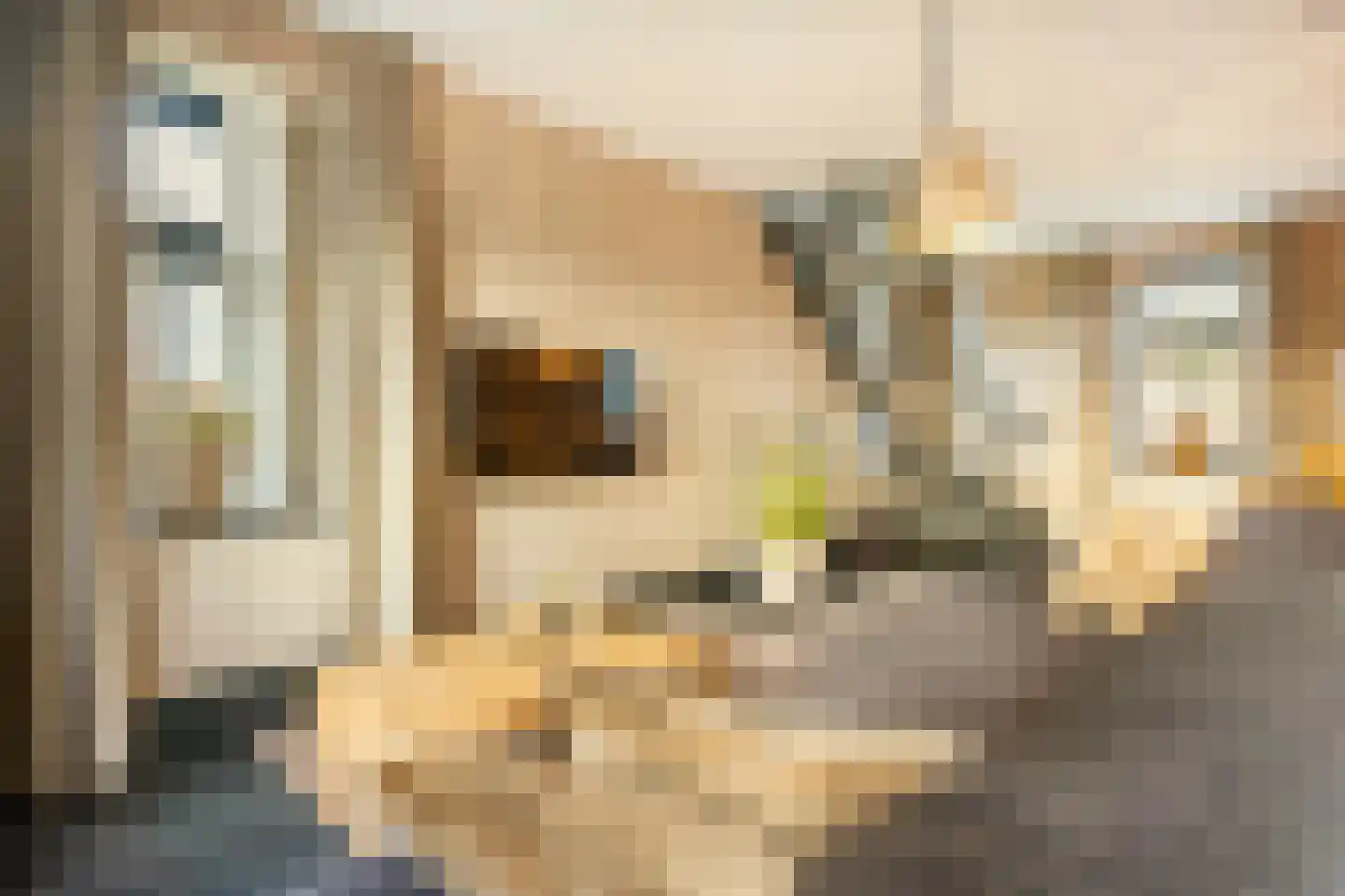 Dahliastraat 78 Made thumbnail 37