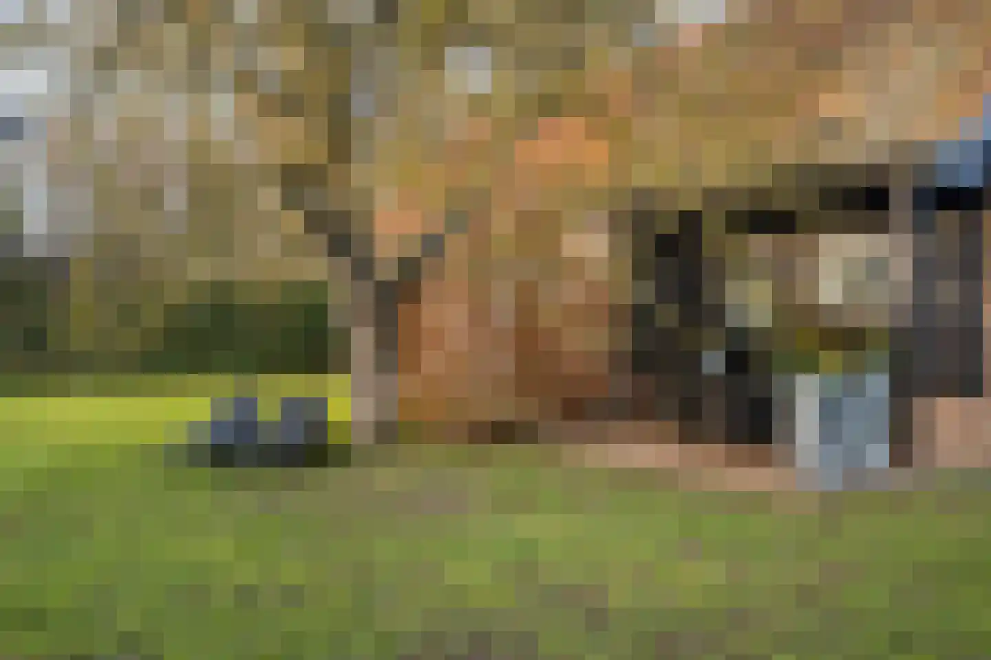 Dahliastraat 78 Made thumbnail 51