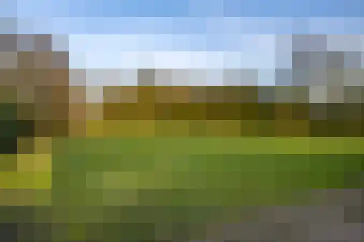 Dahliastraat 78 Made thumbnail 54