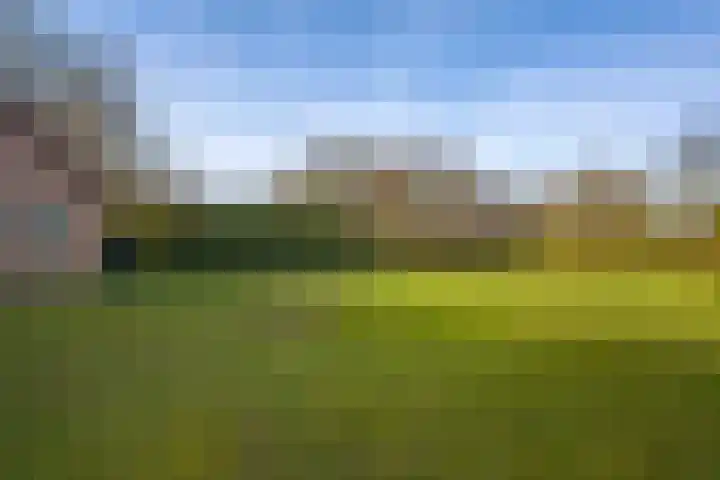 Dahliastraat 78 Made thumbnail 55