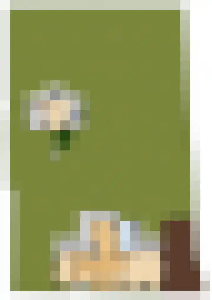 Dahliastraat 78 Made thumbnail 66