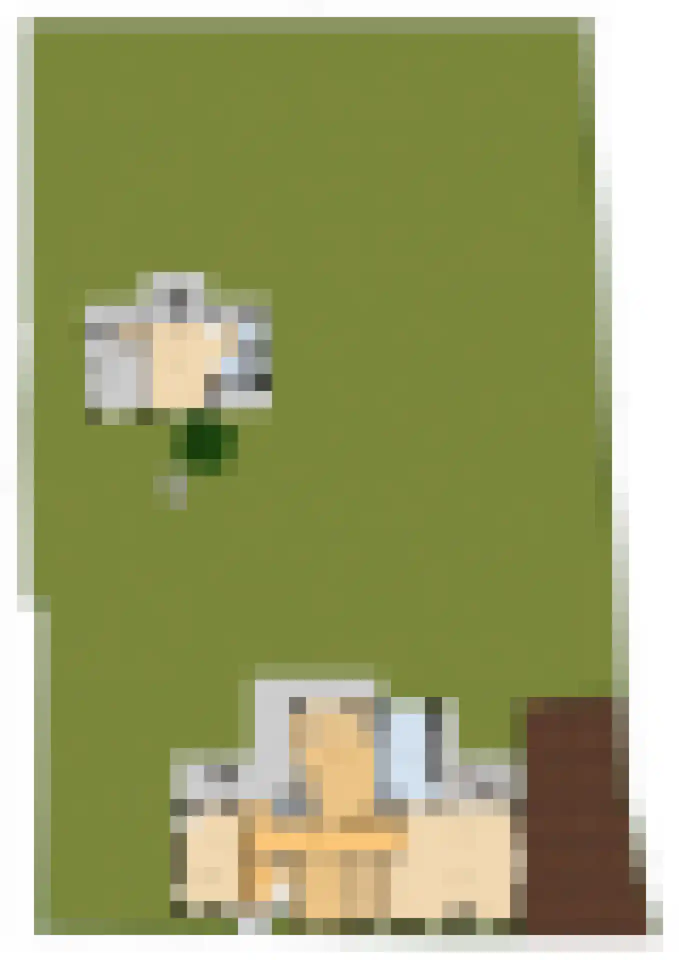 Dahliastraat 78 Made thumbnail 67