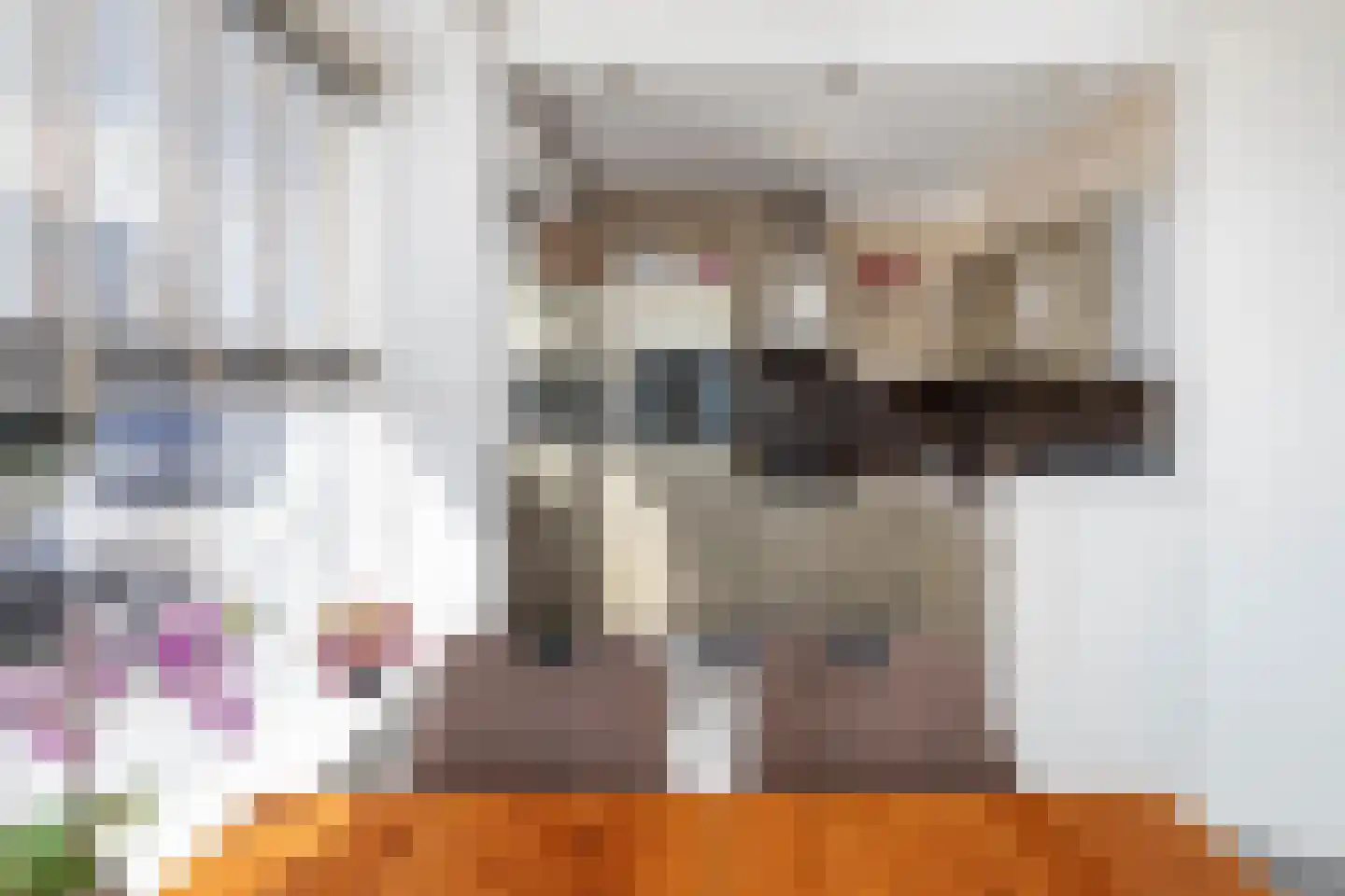 Dahliastraat 78 Poeldijk thumbnail 11