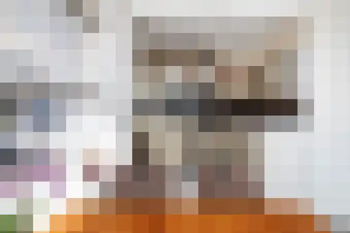 Dahliastraat 78 Poeldijk thumbnail 11