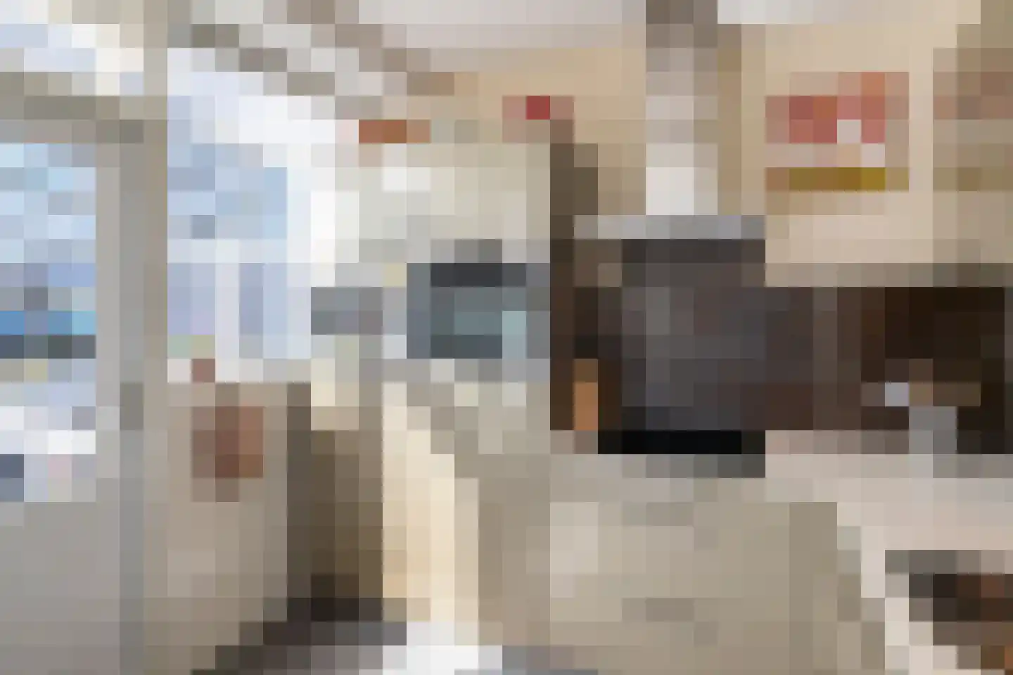 Dahliastraat 78 Poeldijk thumbnail 13