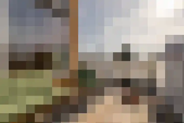 Dahliastraat 78 Poeldijk thumbnail 15