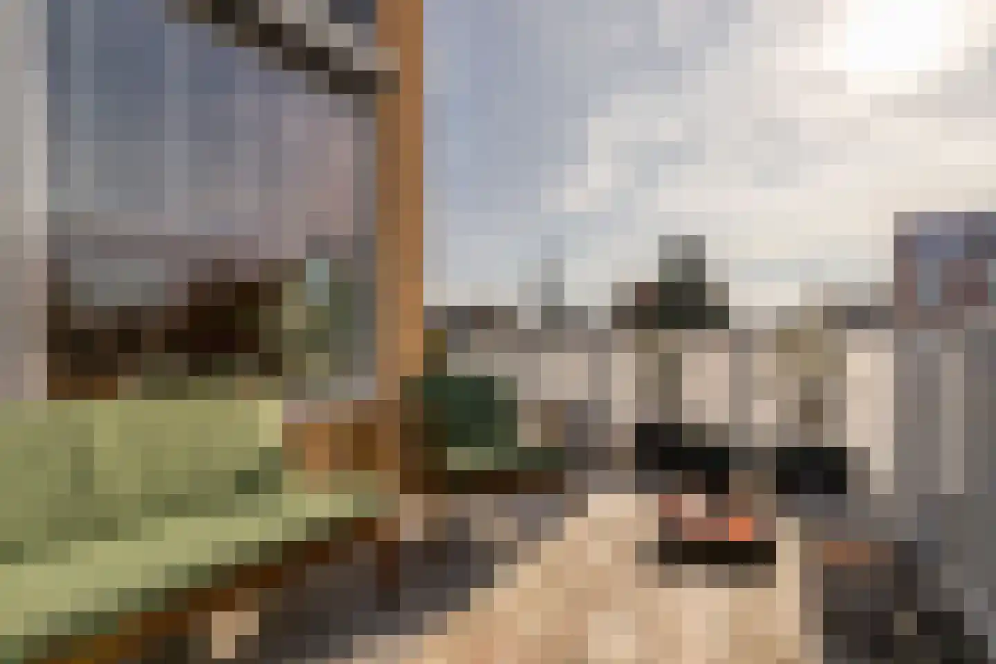 Dahliastraat 78 Poeldijk thumbnail 15