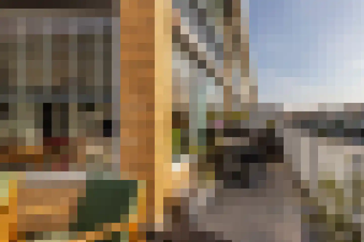 Dahliastraat 78 Poeldijk thumbnail 16