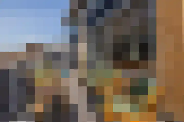 Dahliastraat 78 Poeldijk thumbnail 18