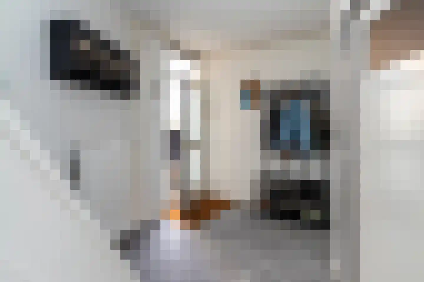 Dahliastraat 78 Poeldijk thumbnail 29