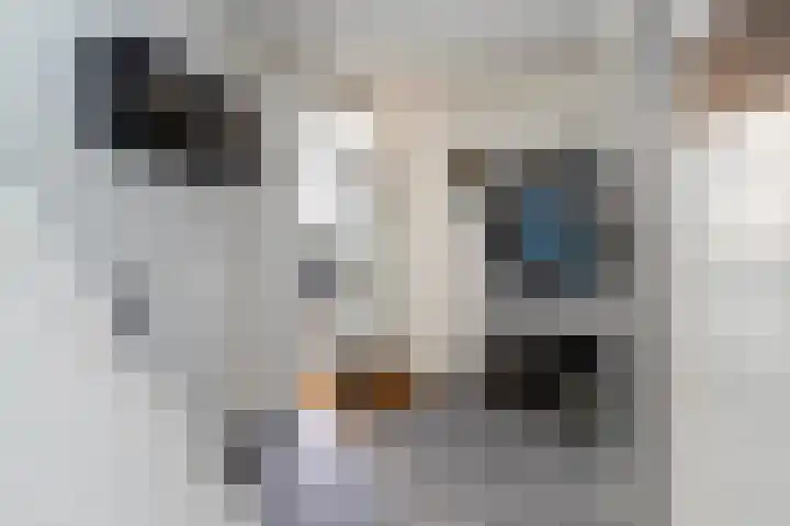 Dahliastraat 78 Poeldijk thumbnail 29