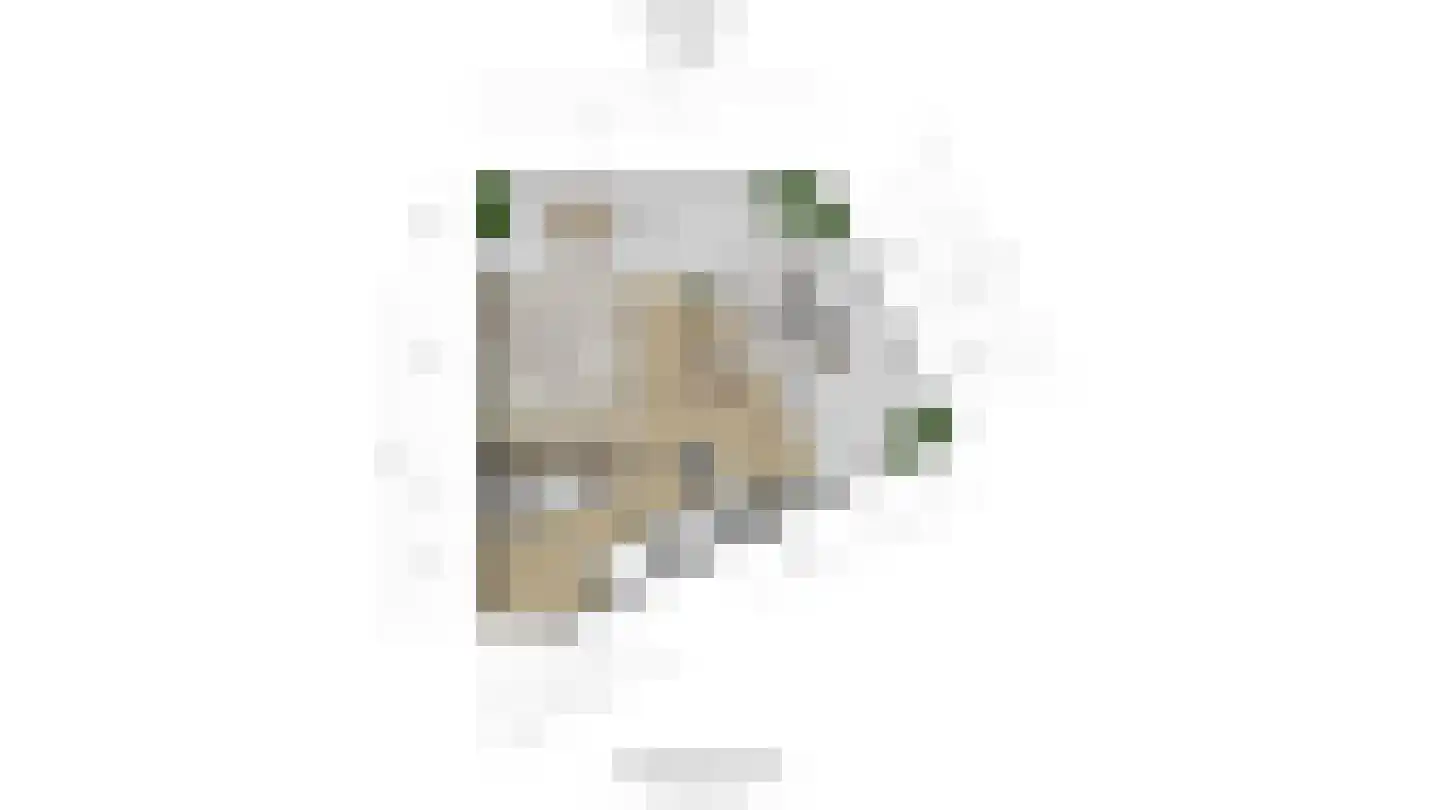Dahliastraat 78 Poeldijk thumbnail 35