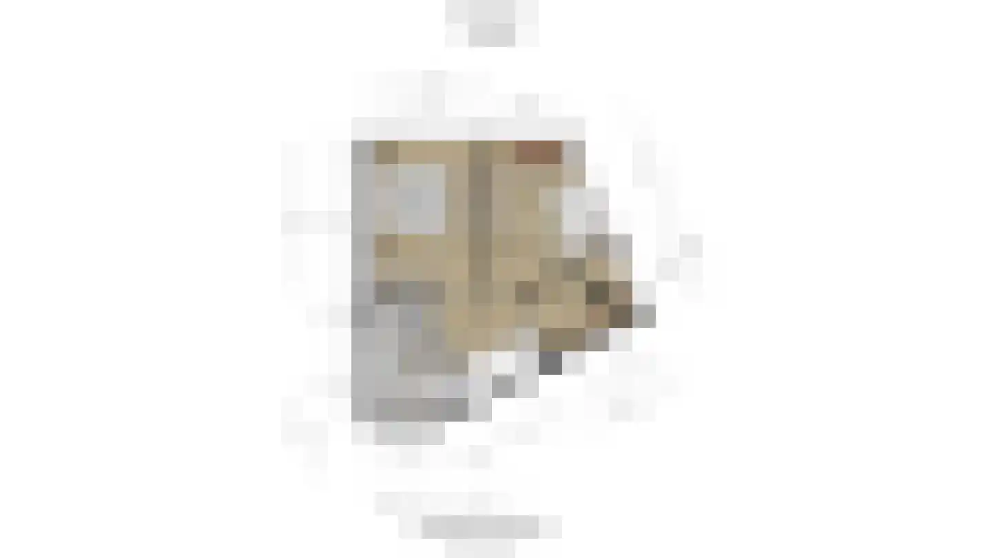 Dahliastraat 78 Poeldijk thumbnail 36