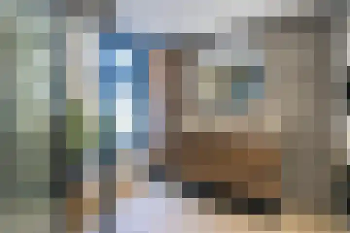 Dahliastraat 78 Poeldijk thumbnail 4