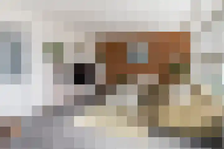 Dahliastraat 78 Poeldijk thumbnail 6