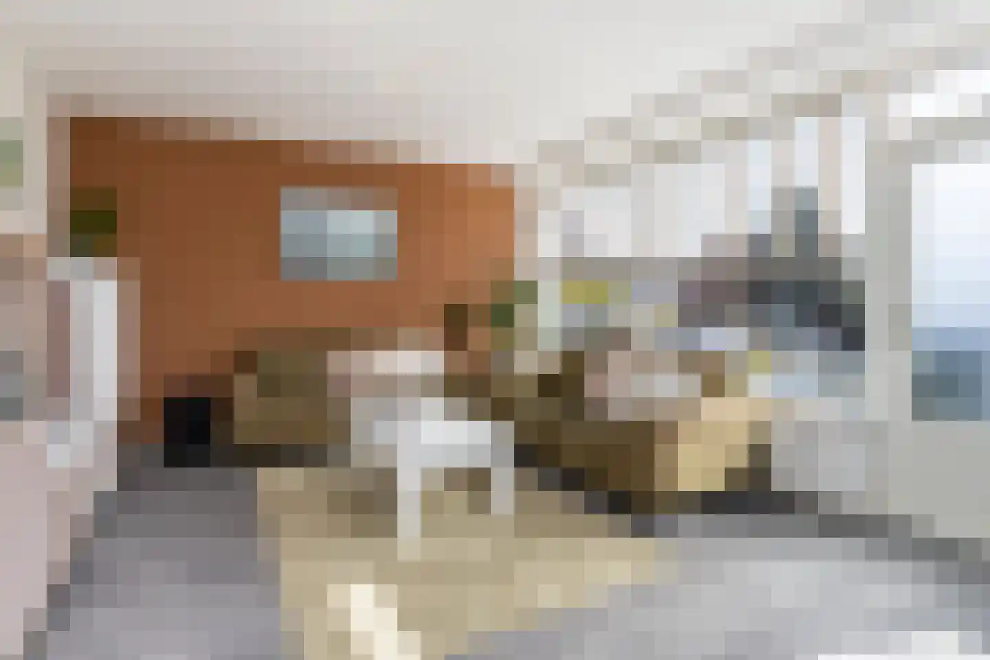 Dahliastraat 78 Poeldijk thumbnail 7