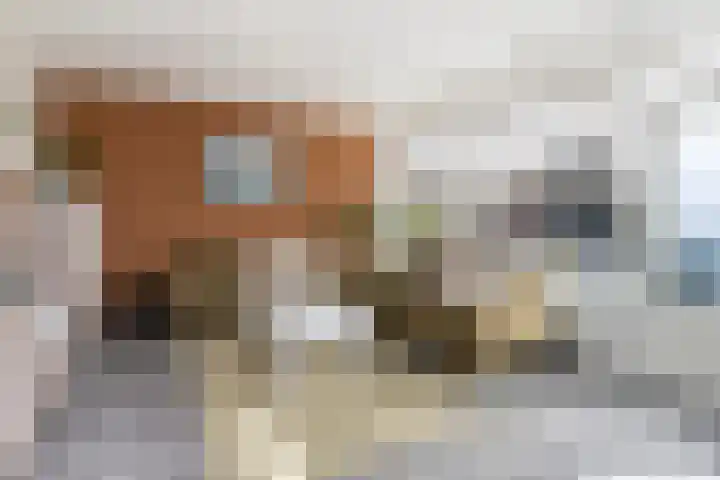 Dahliastraat 78 Poeldijk thumbnail 7