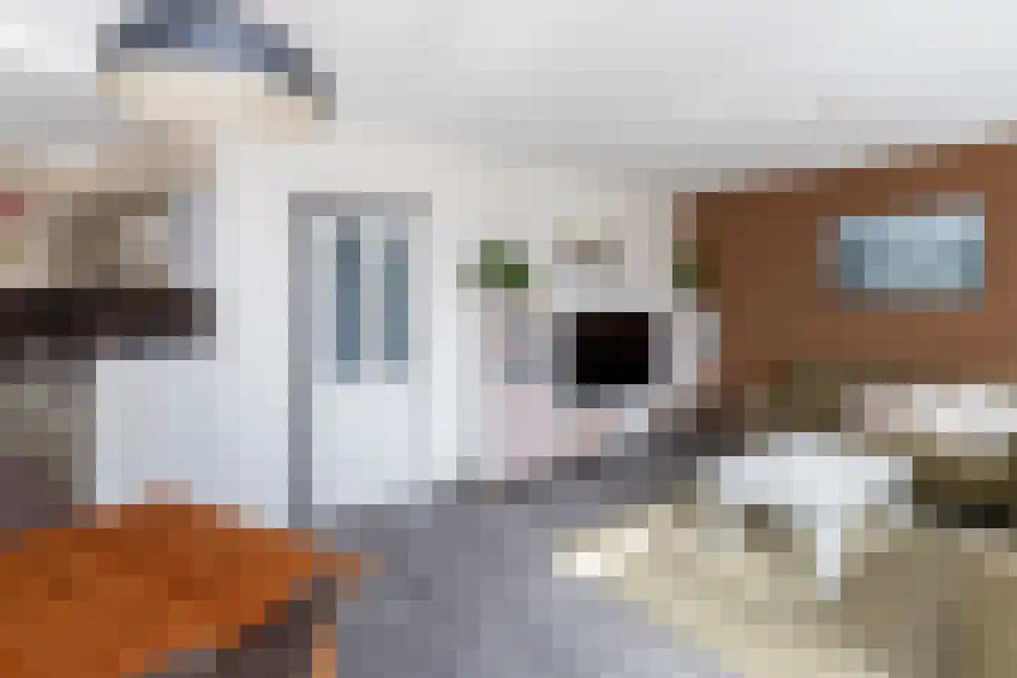 Dahliastraat 78 Poeldijk thumbnail 8