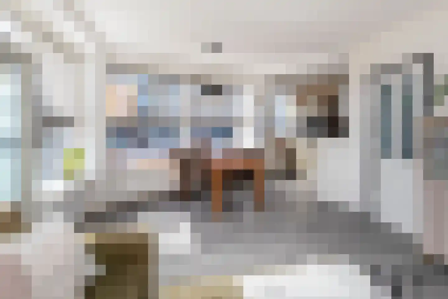 Dahliastraat 78 Poeldijk thumbnail 9