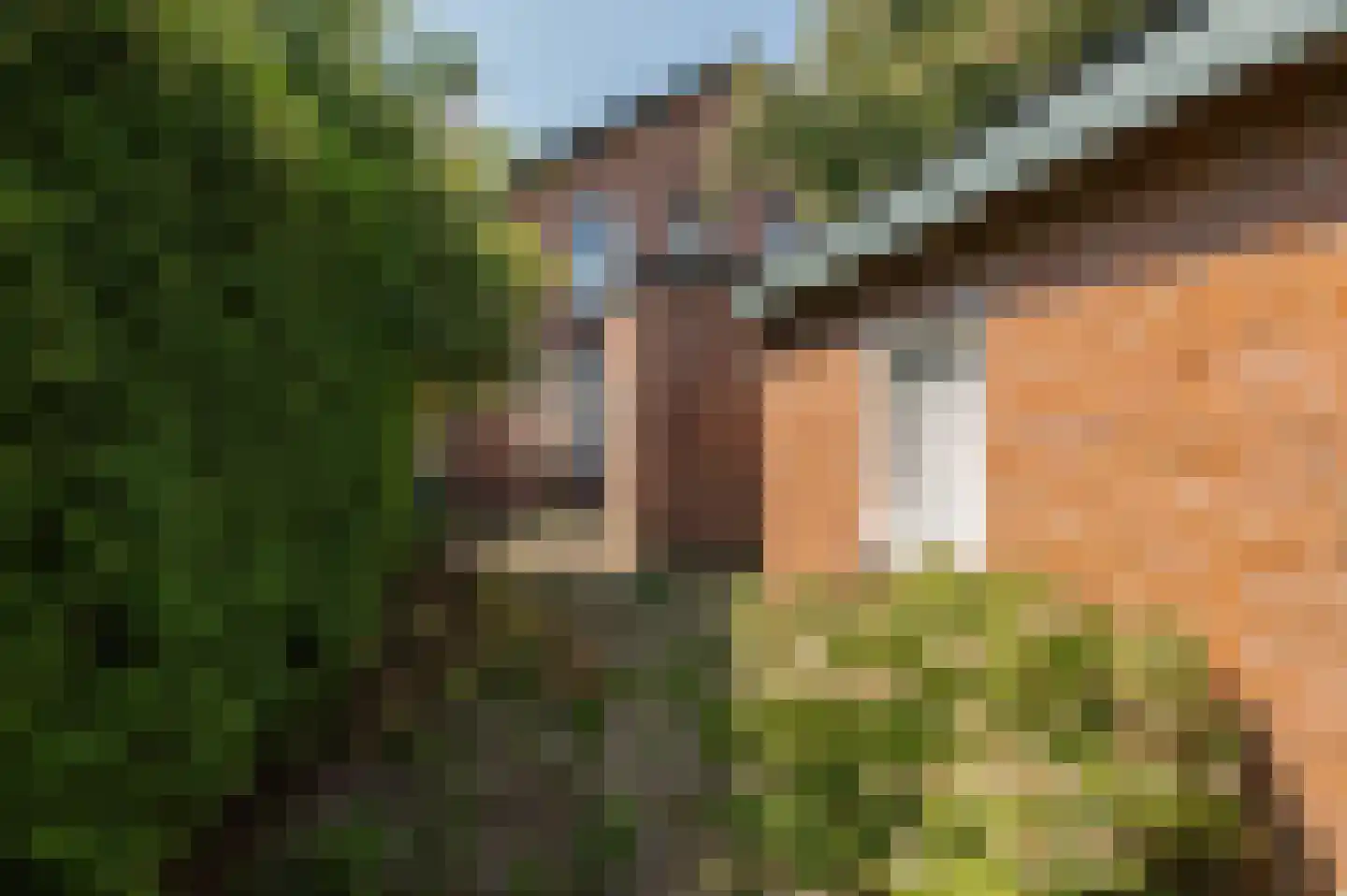 Dahliastraat 8 Culemborg thumbnail 15