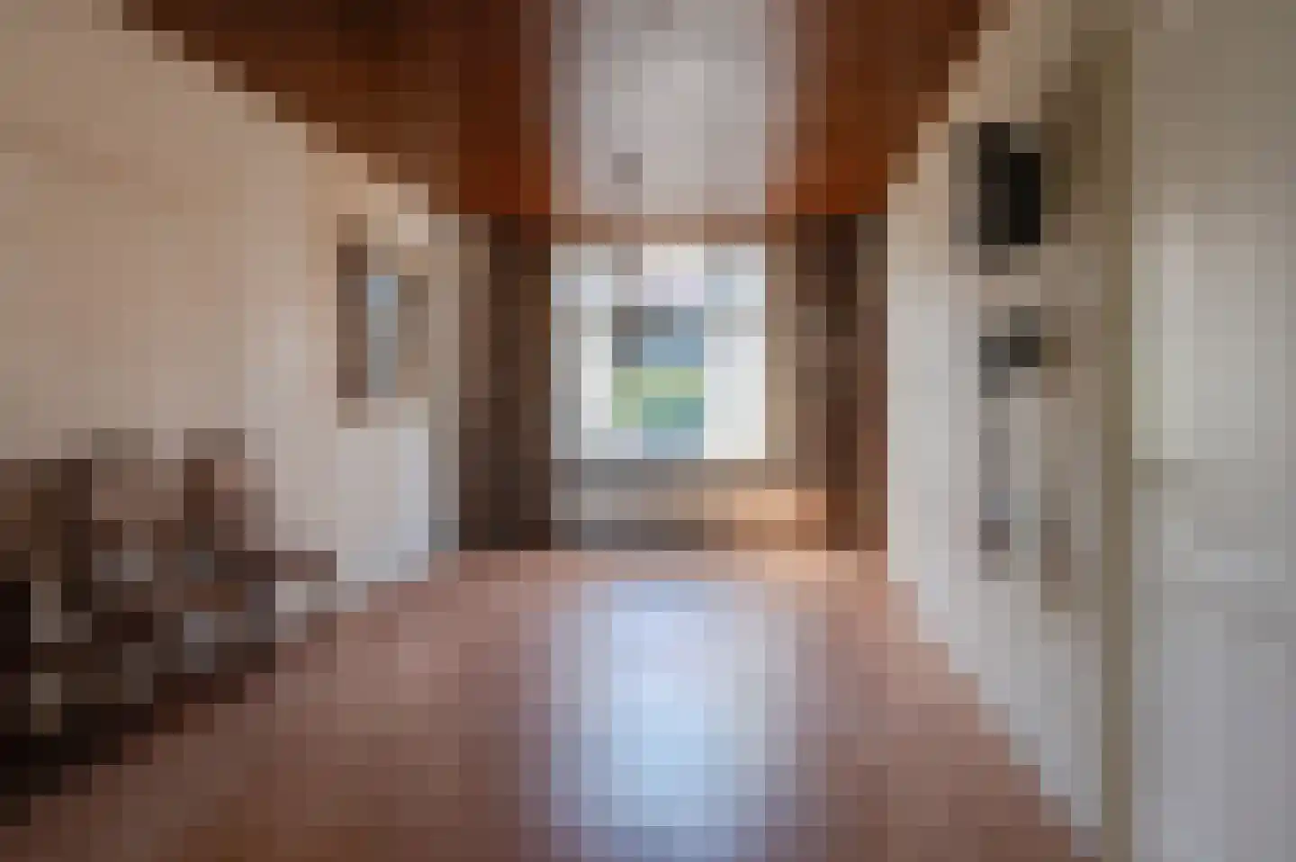 Dahliastraat 8 Culemborg thumbnail 4