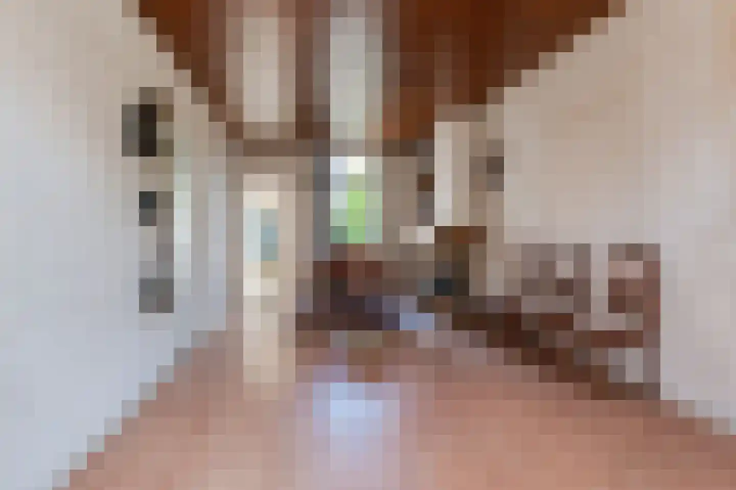 Dahliastraat 8 Culemborg thumbnail 6