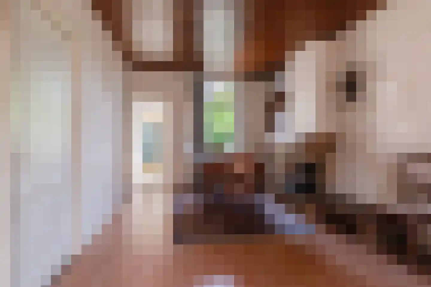 Dahliastraat 8 Culemborg thumbnail 7