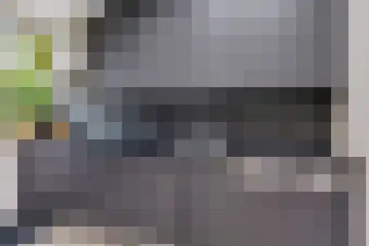 Dahliastraat 8 Hoogkarspel thumbnail 10