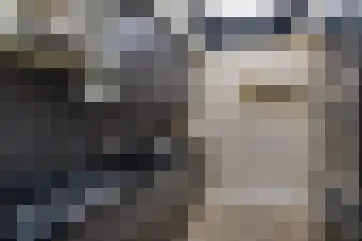 Dahliastraat 8 Hoogkarspel thumbnail 11
