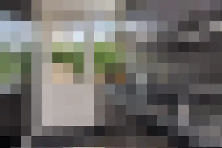 Dahliastraat 8 Hoogkarspel thumbnail 12