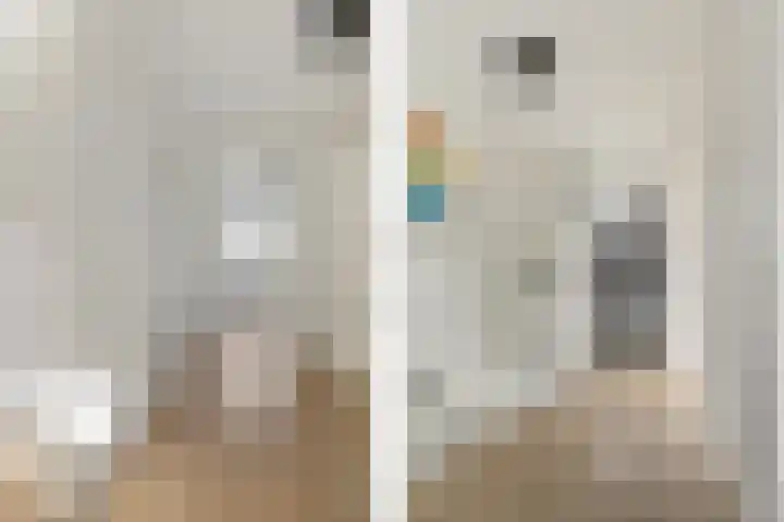 Dahliastraat 8 Hoogkarspel thumbnail 15