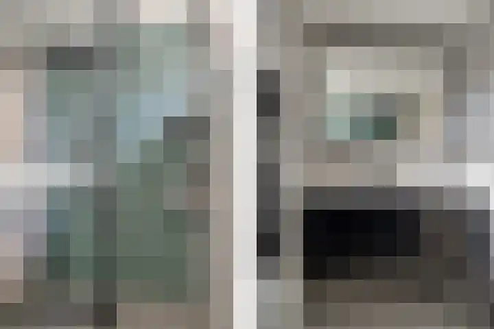 Dahliastraat 8 Hoogkarspel thumbnail 16