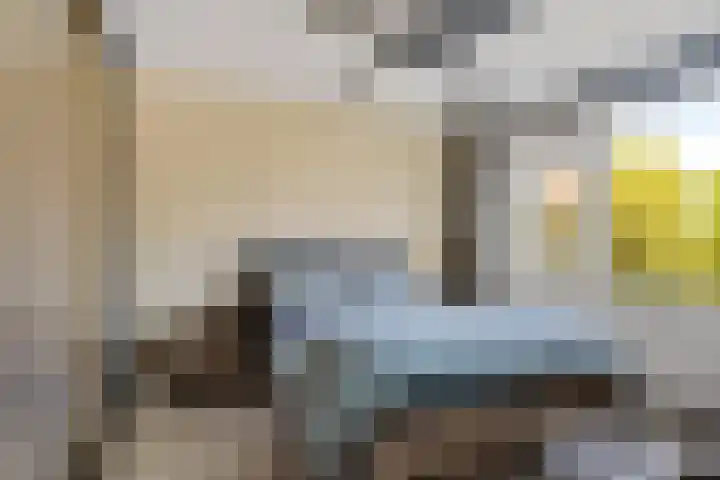 Dahliastraat 8 Hoogkarspel thumbnail 18