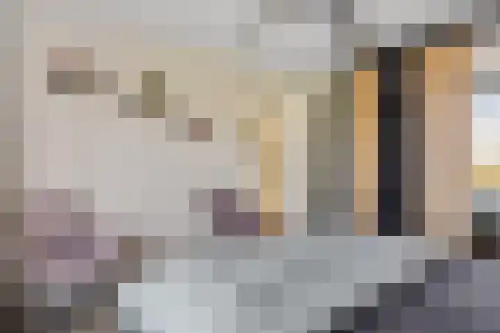 Dahliastraat 8 Hoogkarspel thumbnail 20