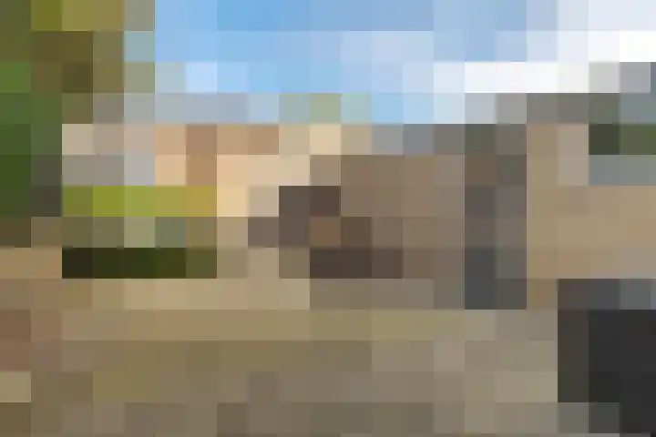 Dahliastraat 8 Hoogkarspel thumbnail 21