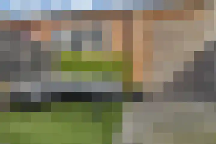 Dahliastraat 8 Hoogkarspel thumbnail 22