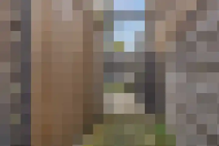 Dahliastraat 8 Hoogkarspel thumbnail 23