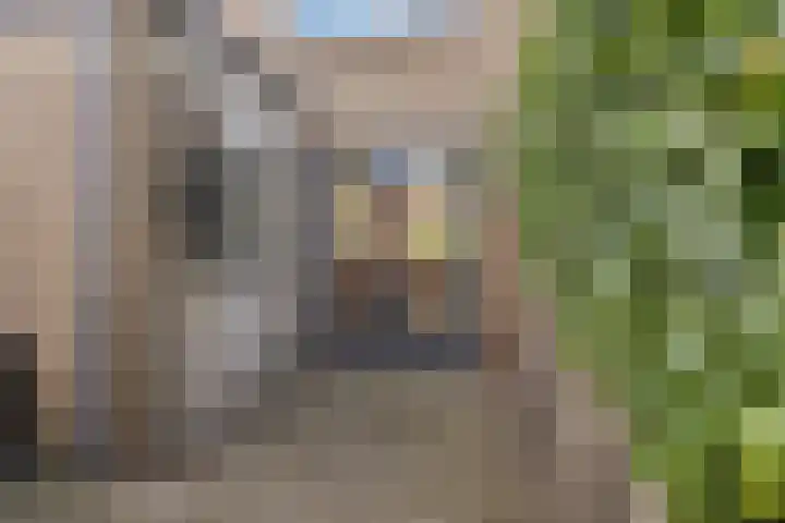 Dahliastraat 8 Hoogkarspel thumbnail 25