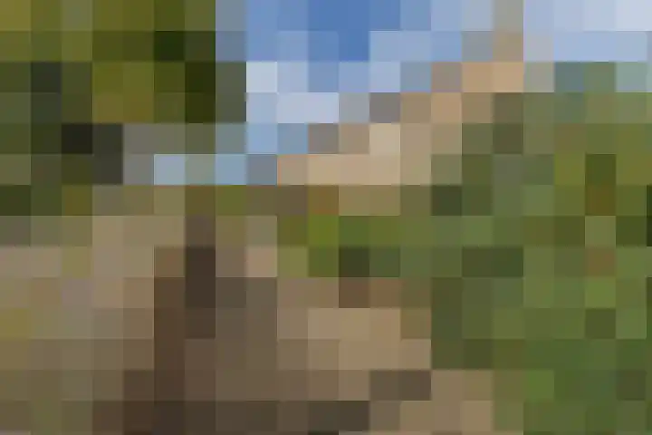 Dahliastraat 8 Hoogkarspel thumbnail 26